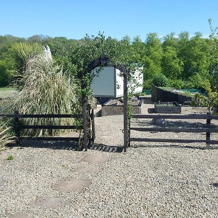 Sheepwash Shepherds Hut Bebside Exteriör bild